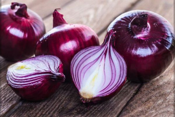 Telegram mega onion mega sbs